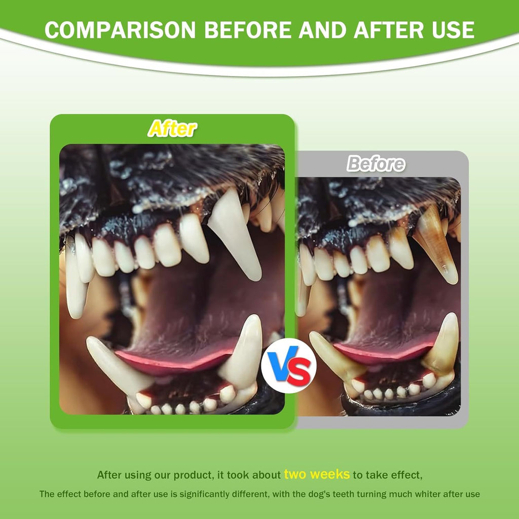 Pet Dental Powder – Fresh Breath, Healthy Gums & Stronger Teeth
