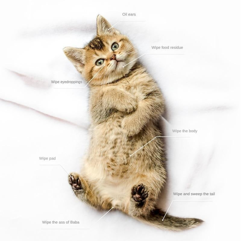 Pet Grooming Wipes – Deodorizing & Hypoallergenic for Dogs & Cats
