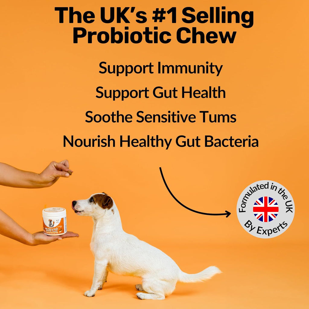 Dog Probiotic Digestive Tablets – Gut Health & Intestinal Support