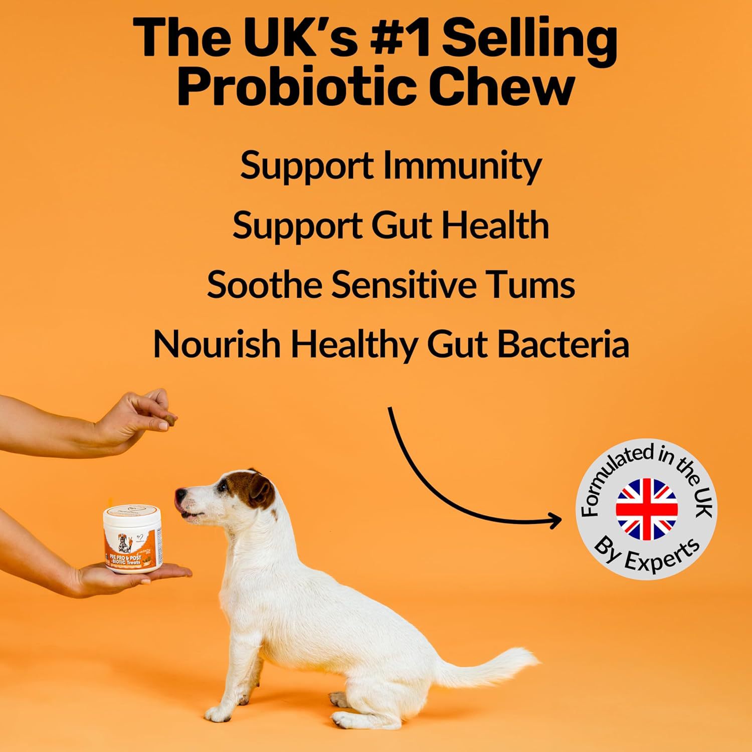 Dog Probiotic Digestive Tablets – Gut Health & Intestinal Support