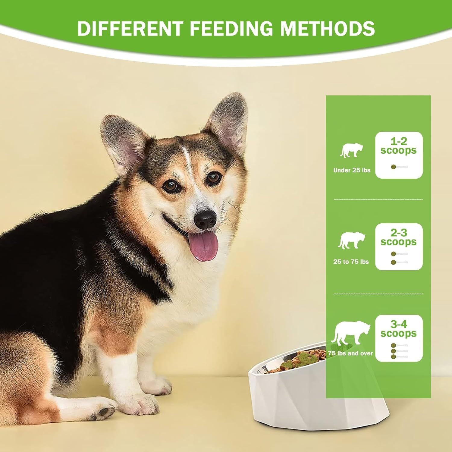 Pet Dental Powder – Fresh Breath, Healthy Gums & Stronger Teeth