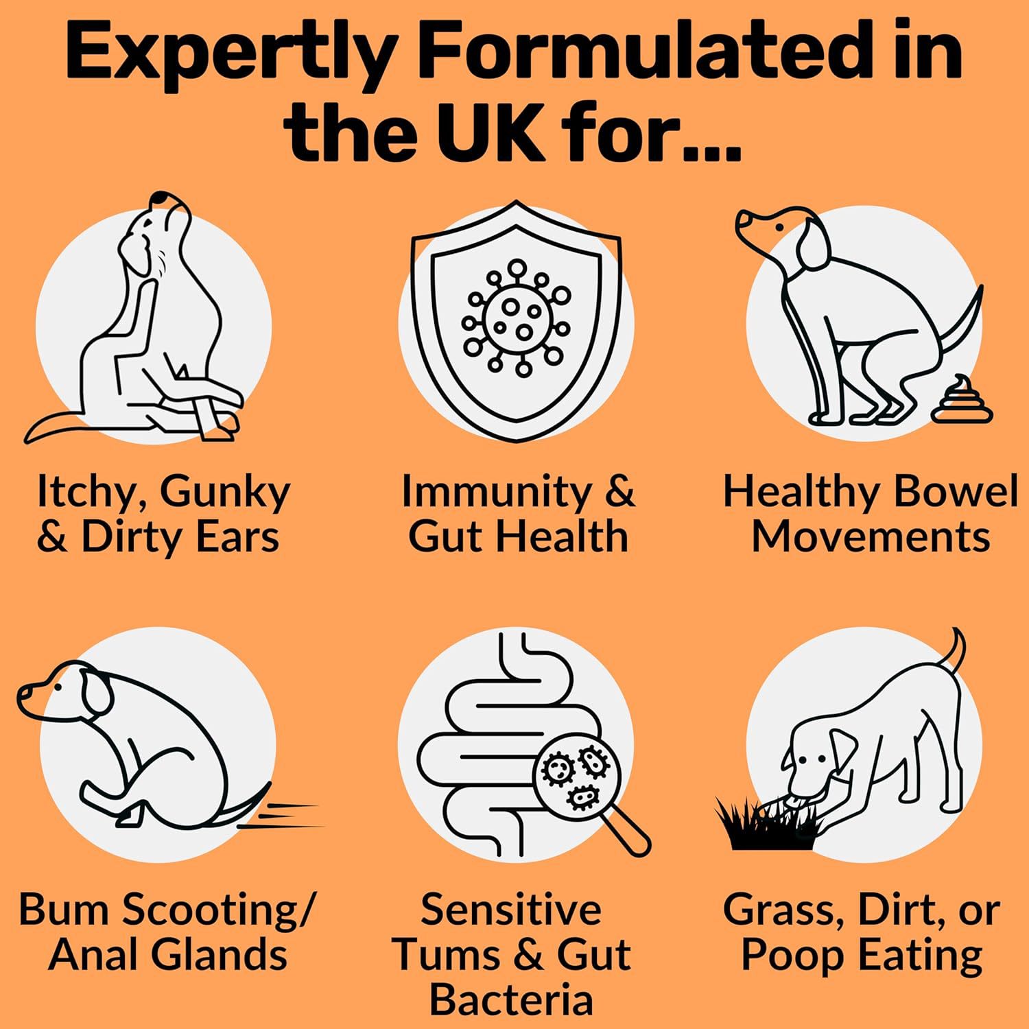 Dog Probiotic Digestive Tablets – Gut Health & Intestinal Support