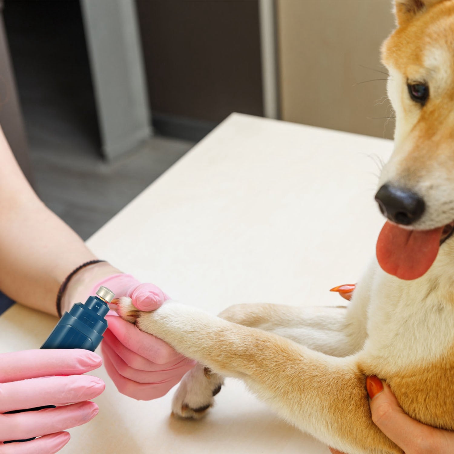 Pet Nail Grinder – Quiet USB Rechargeable Trimmer for Dogs & Cats